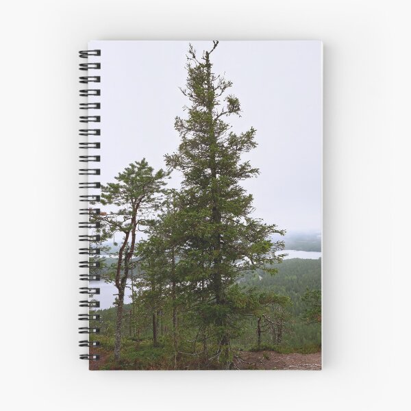 Item preview, Spruce on the edge. Konttainen 2025 designed and sold by Jouko Lehto Photography.
