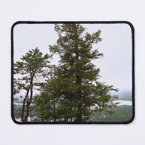 Item preview, Spruce on the edge. Konttainen 2025 designed and sold by Jouko Lehto Photography.