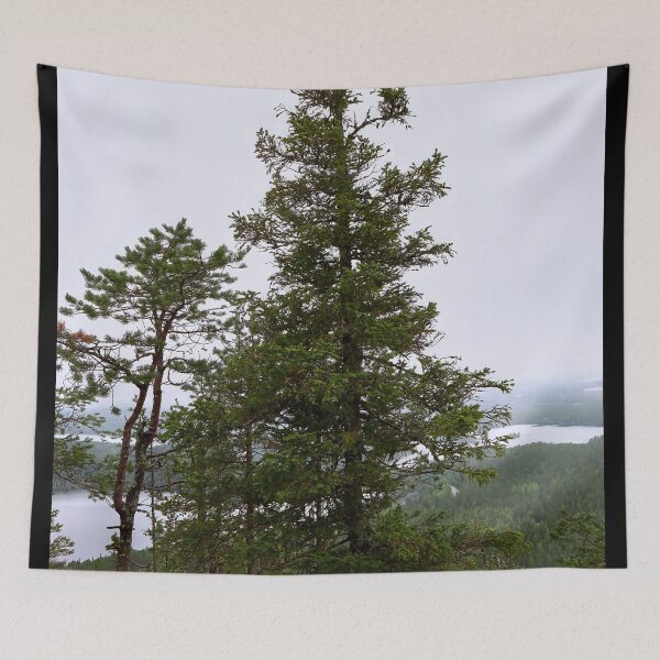 Item preview, Spruce on the edge. Konttainen 2025 designed and sold by Jouko Lehto Photography.