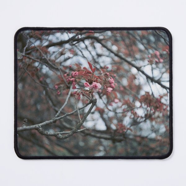 Item preview, herald designed and sold by 5letters.