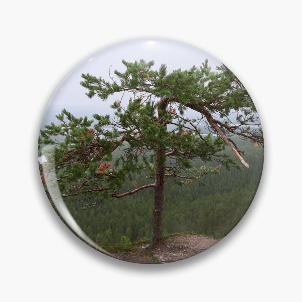 Item preview, Broken pine. Konttainen 2025 designed and sold by Jouko Lehto Photography.