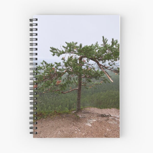 Item preview, Broken pine. Konttainen 2025 designed and sold by Jouko Lehto Photography.