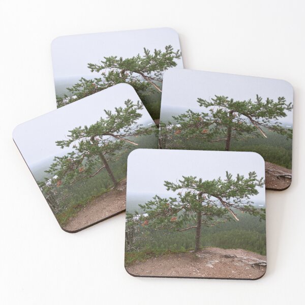 Item preview, Broken pine. Konttainen 2025 designed and sold by Jouko Lehto Photography.
