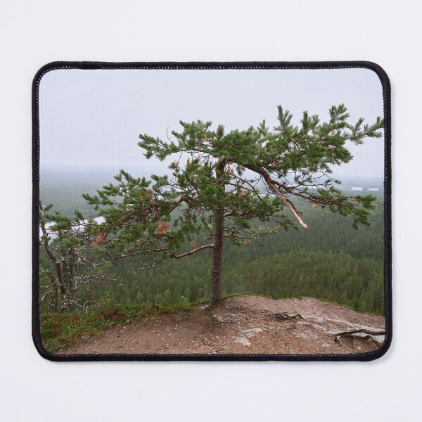 Item preview, Broken pine. Konttainen 2025 designed and sold by Jouko Lehto Photography.