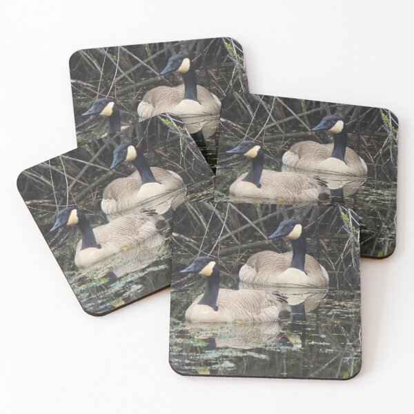 Item preview, A Pair of Canada Geese in the Pond designed and sold by Wonders Of Paradise.