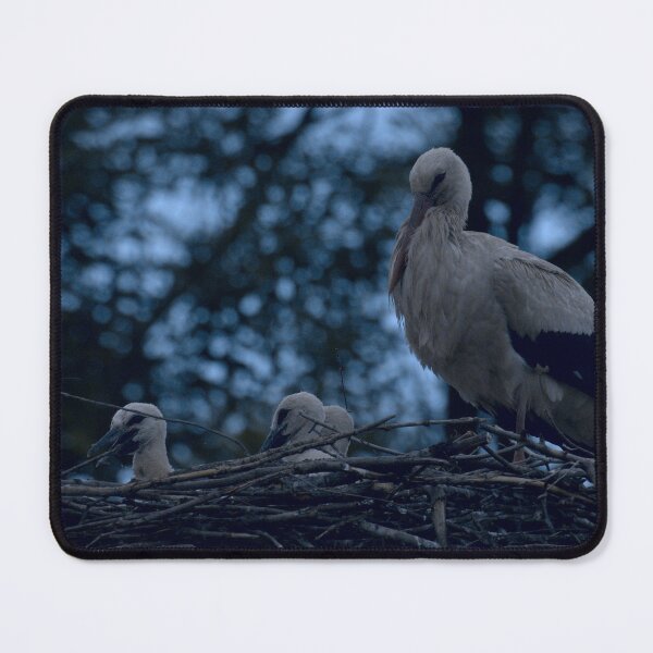 Item preview, Frozen reality - Beautiful nature 390 designed and sold by deep-sea-birds.