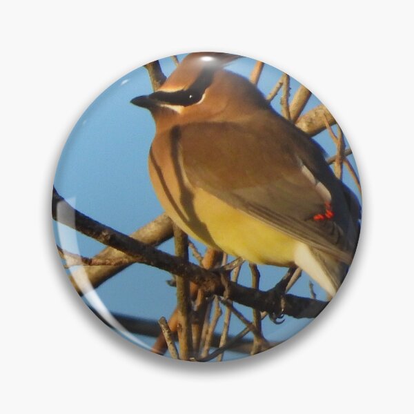 Item preview, A Cedar Waxwing among the Branches. designed and sold by Wonders Of Paradise.