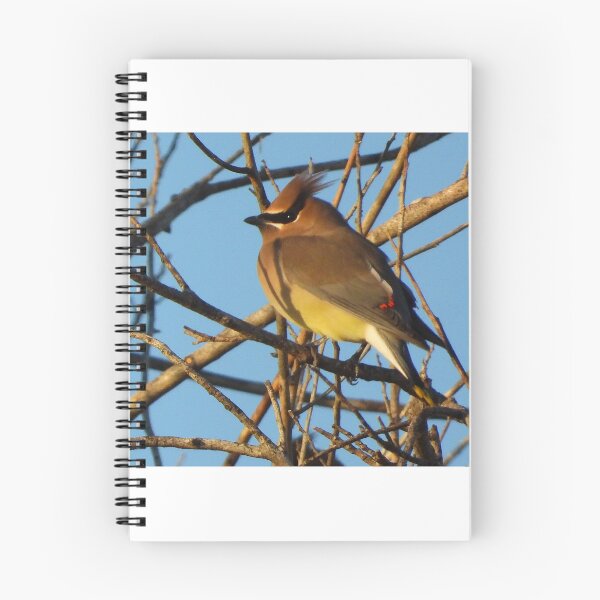 Item preview, A Cedar Waxwing among the Branches. designed and sold by Wonders Of Paradise.