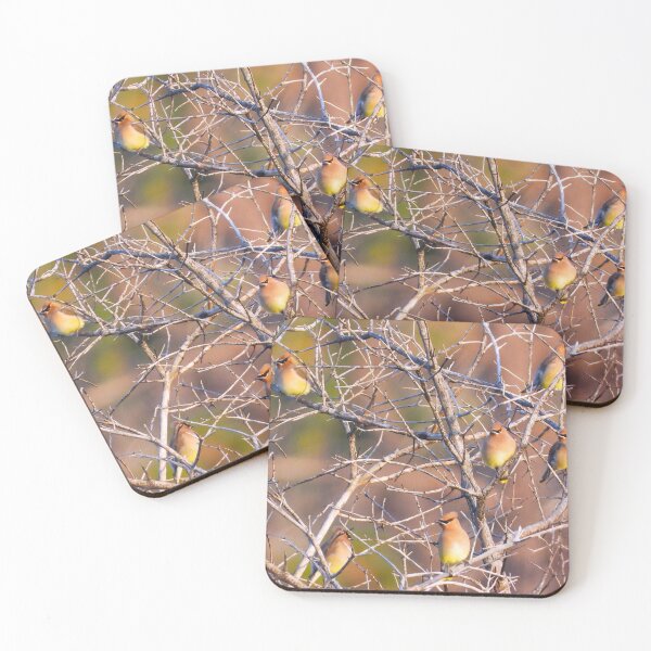 Item preview, A Small Flock of Cedar Waxwings designed and sold by Wonders Of Paradise.