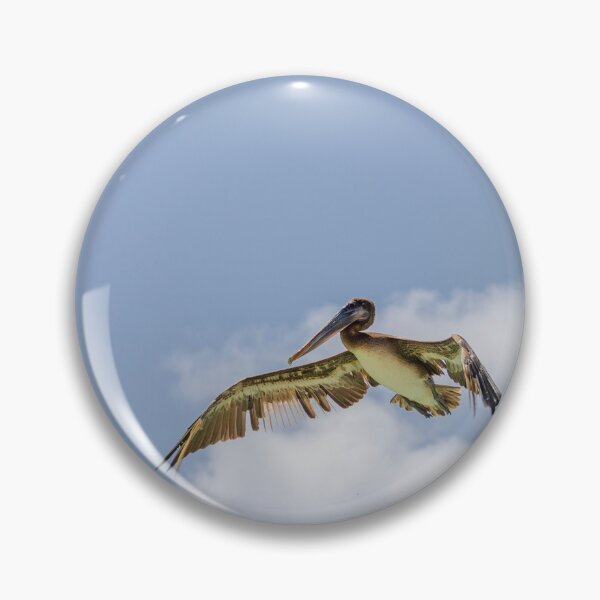 Item preview, Pelican Preparing to Dive, Bonaire designed and sold by Kasia Design.