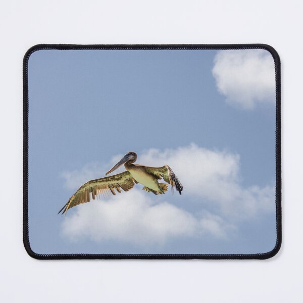 Item preview, Pelican Preparing to Dive, Bonaire designed and sold by Kasia Design.