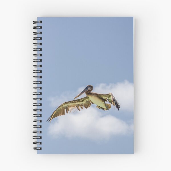 Item preview, Pelican Preparing to Dive, Bonaire designed and sold by Kasia Design.