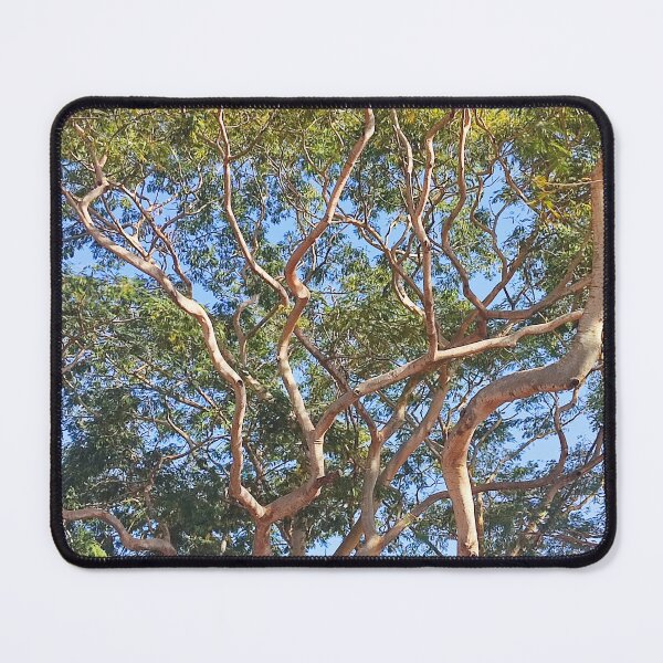 Item preview, Galhos designed and sold by MaxCardoso.