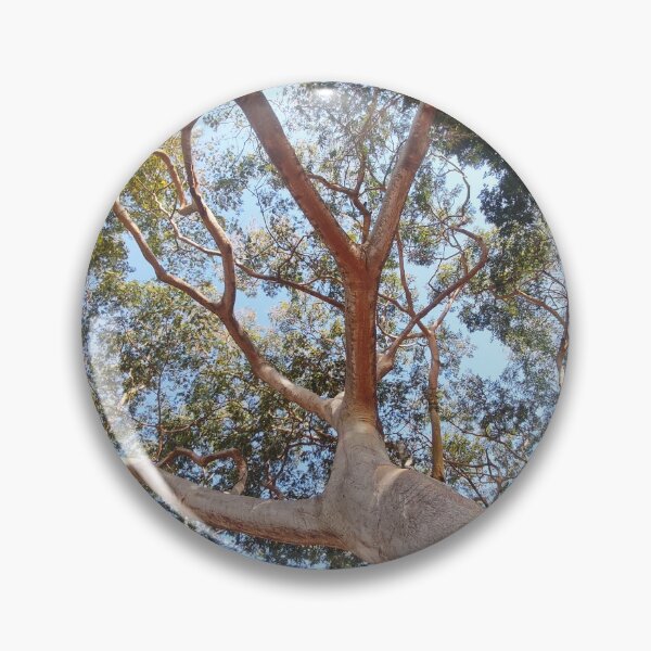 Item preview, Tree canopy designed and sold by MaxCardoso.