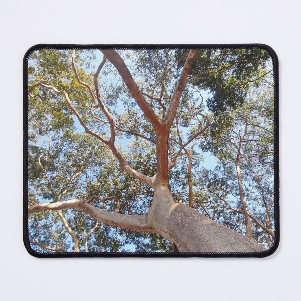 Item preview, Tree canopy designed and sold by MaxCardoso.