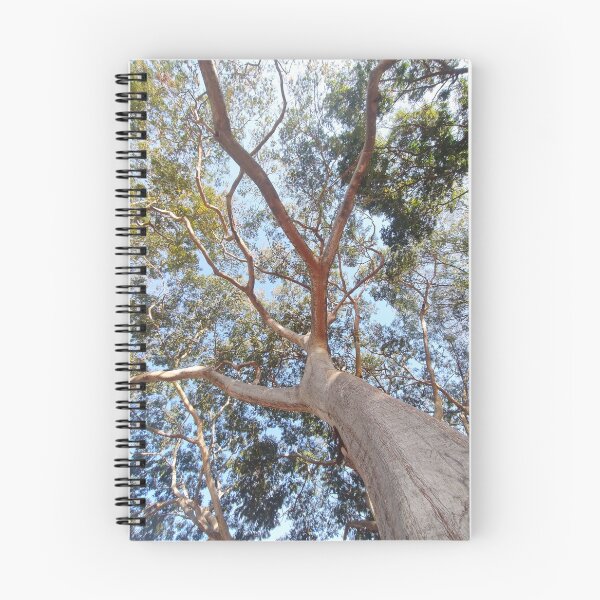 Item preview, Tree canopy designed and sold by MaxCardoso.