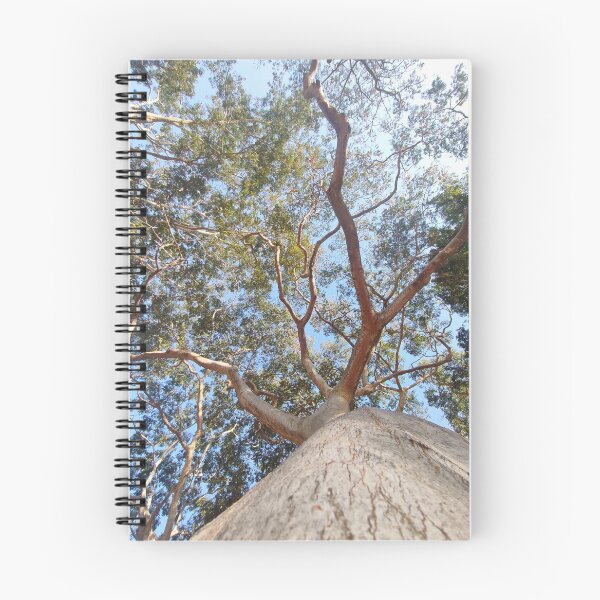 Item preview, tree canopy designed and sold by MaxCardoso.