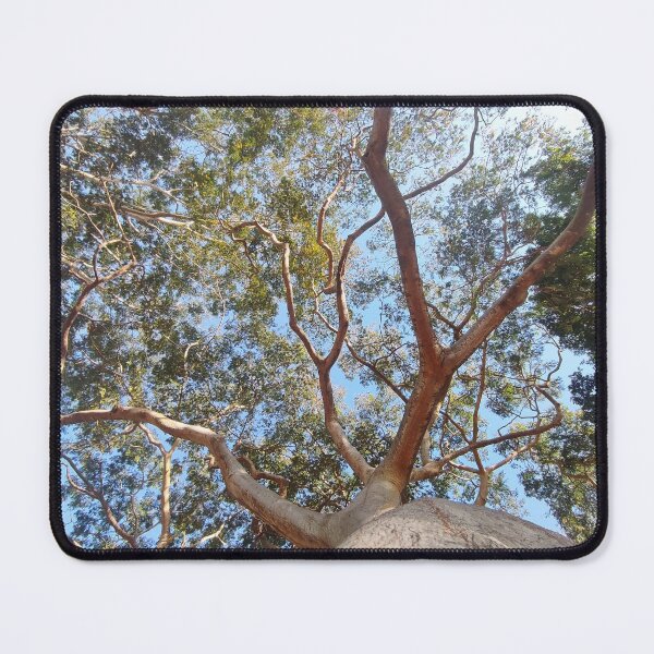 Item preview, tree canopy designed and sold by MaxCardoso.