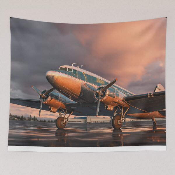 Item preview, DC-3 on the Tarmac designed and sold by Skyframe Aviation.