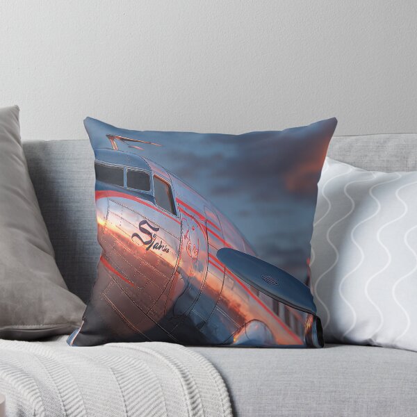 Item preview, Steel and Sky Memories designed and sold by Skyframe Aviation.