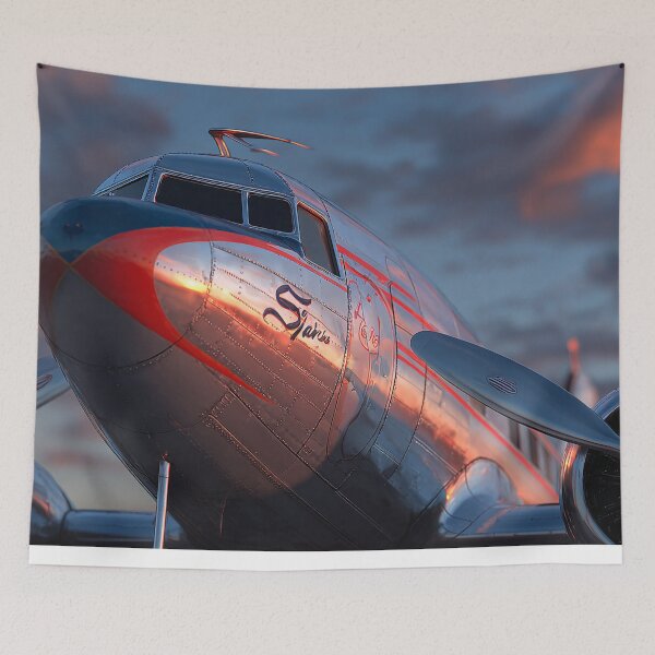 Item preview, Steel and Sky Memories designed and sold by Skyframe Aviation.