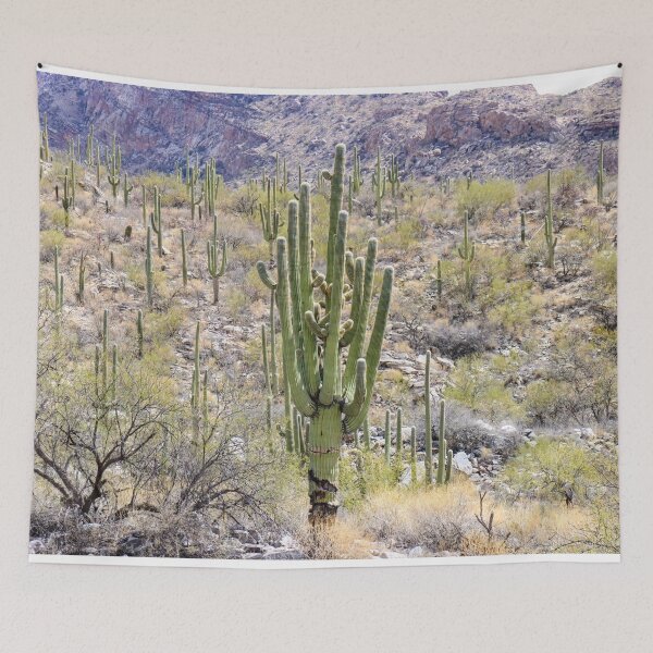 Item preview, Large Big Stunning Saguaro Cactus designed and sold by simonjayphotos.