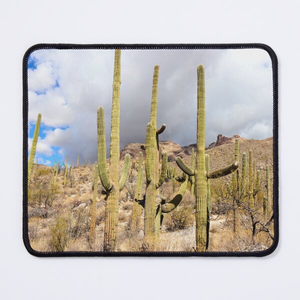 Item preview, Lovely Desert Landscape Views designed and sold by simonjayphotos.
