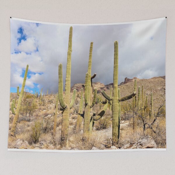 Item preview, Lovely Desert Landscape Views designed and sold by simonjayphotos.