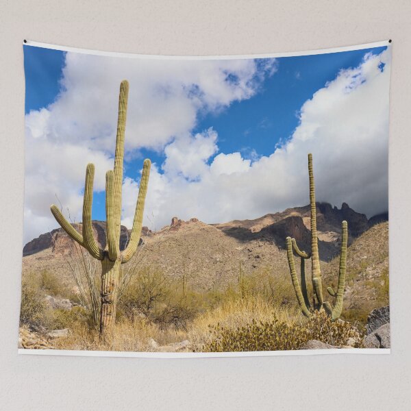 Item preview, Wonderful Saguaro Cacti Clouds And Catalina Mountains  designed and sold by simonjayphotos.