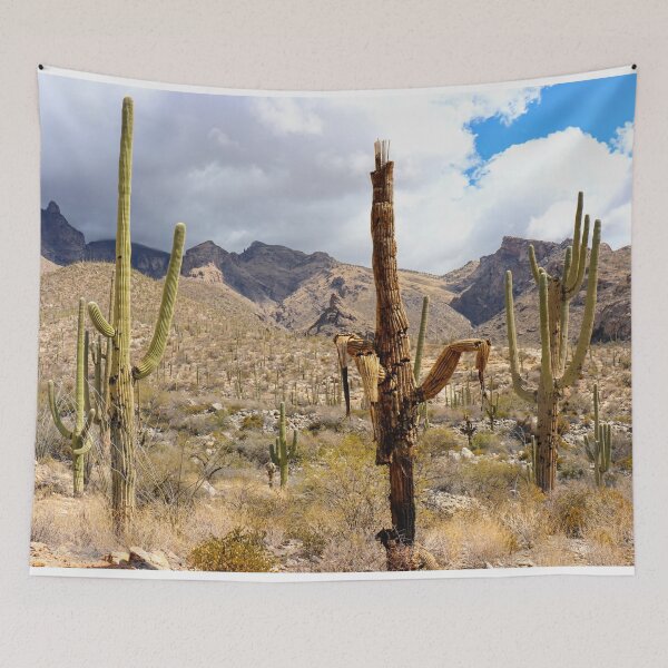 Item preview, Dead Cactus Alive Cacti And Catalina Mountains  designed and sold by simonjayphotos.