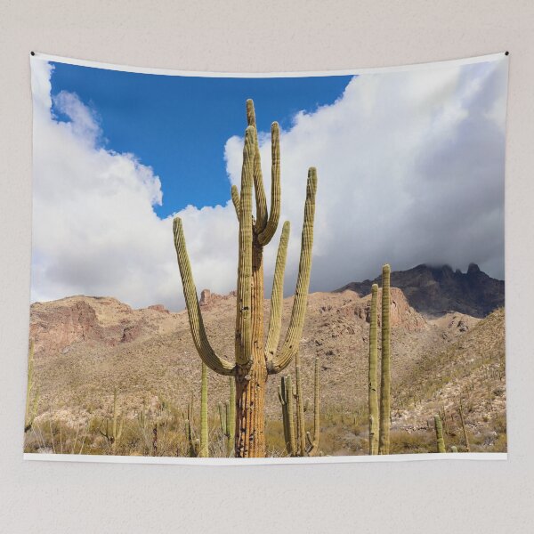 Item preview, Beautiful Desert Saguaro And Catalina Mountains designed and sold by simonjayphotos.