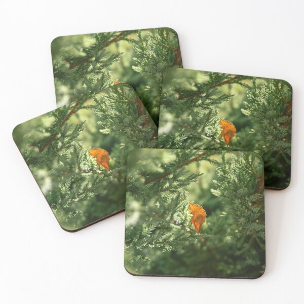 Item preview, A single autumn leaf on the green background. designed and sold by RinaZik.
