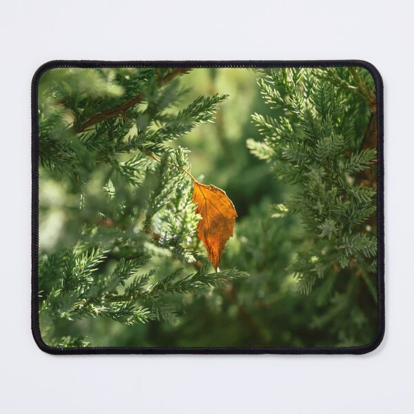 Item preview, A single autumn leaf on the green background. designed and sold by RinaZik.