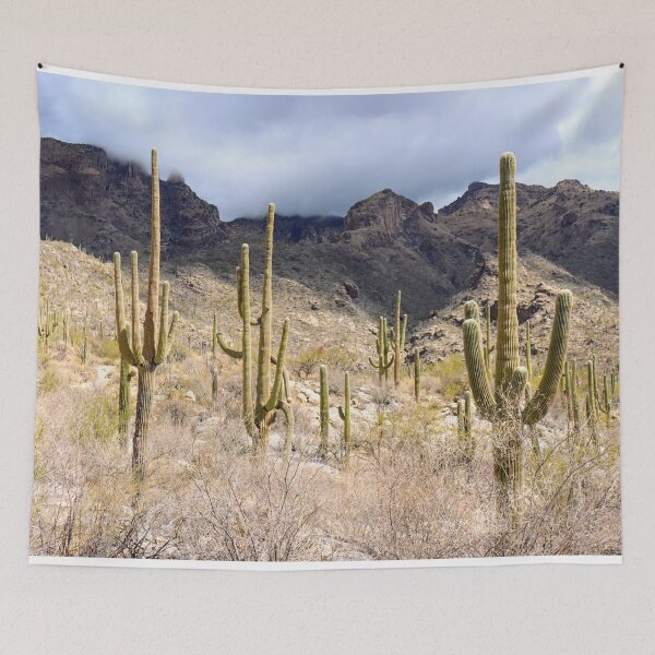 Item preview, Saguaro Cacti And Beautiful Catalina Mountain designed and sold by simonjayphotos.