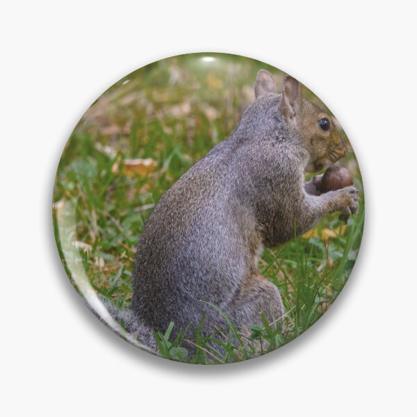 Item preview, Squirrel Holding a Nut designed and sold by Tim Dusenberry.