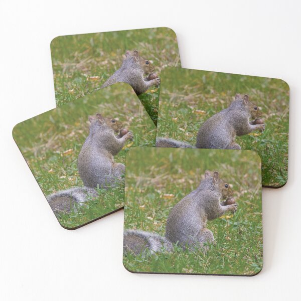 Item preview, Squirrel Holding a Nut designed and sold by Tim Dusenberry.
