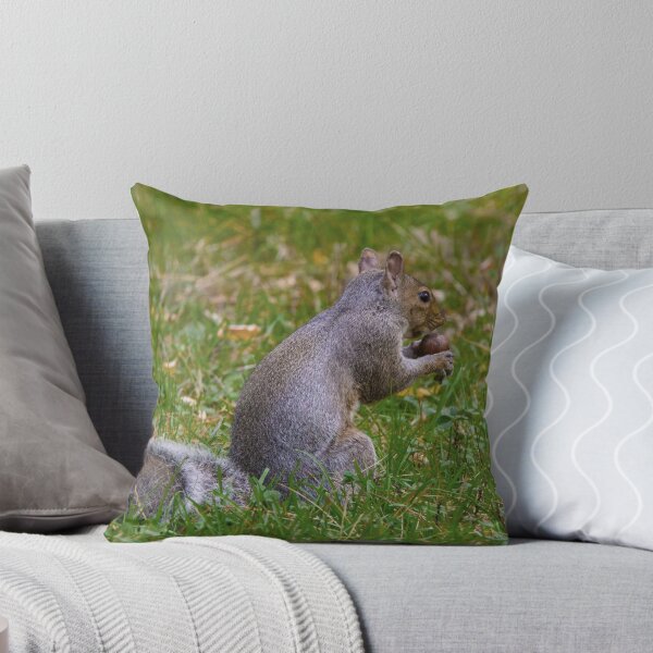 Item preview, Squirrel Holding a Nut designed and sold by Tim Dusenberry.