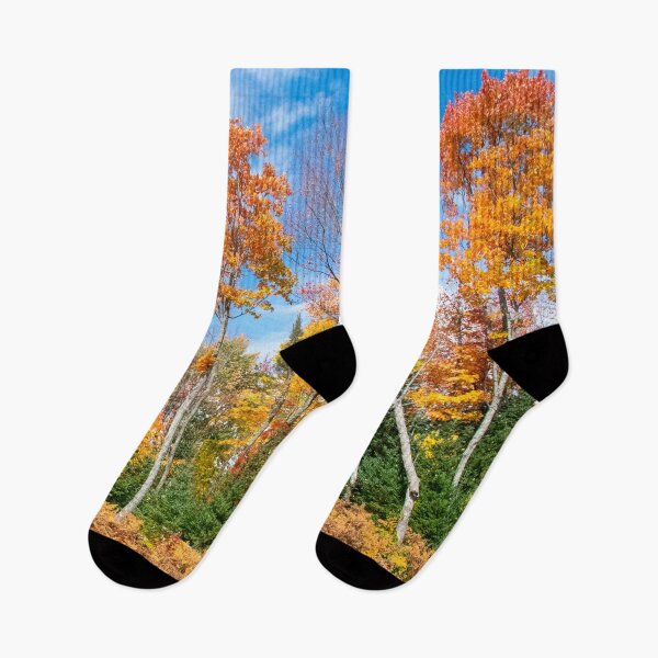 Item preview, Fall Foliage on Tall Trees in Northern Michigan designed and sold by KillNFuel.