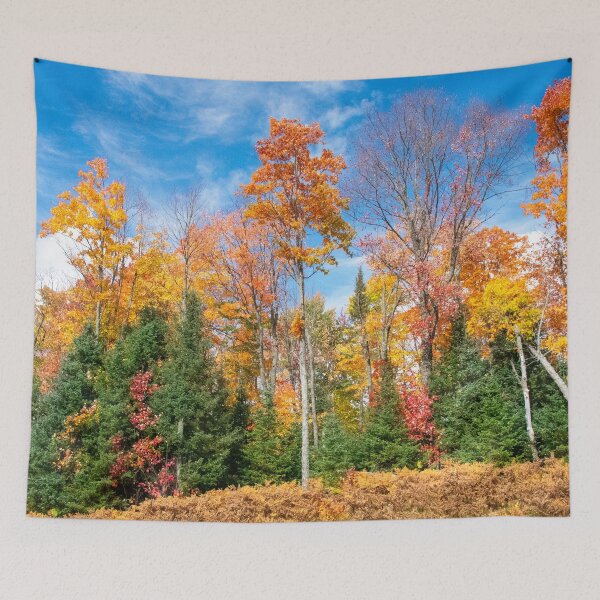 Item preview, Fall Foliage on Tall Trees in Northern Michigan designed and sold by KillNFuel.