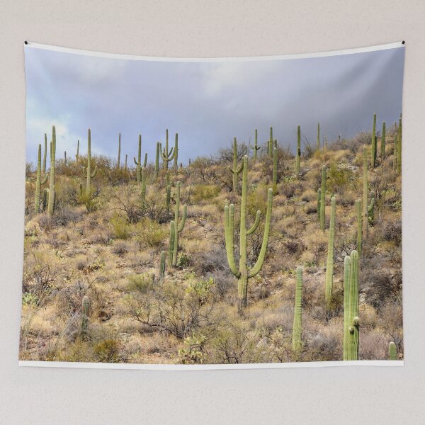 Item preview, Saguaro Cacti Cloudy Day designed and sold by simonjayphotos.
