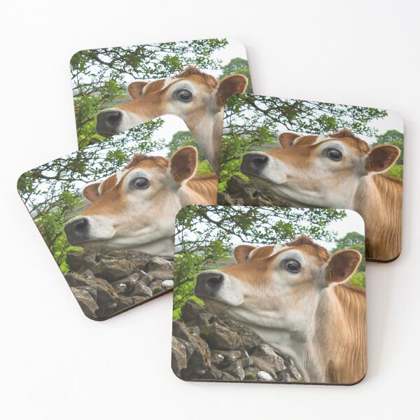 Item preview, Jersey Cow designed and sold by Jane Stanley Photography.