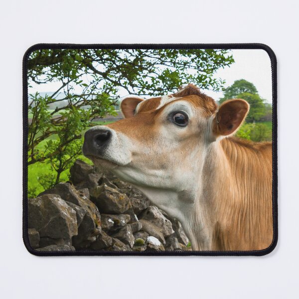 Item preview, Jersey Cow designed and sold by Jane Stanley Photography.