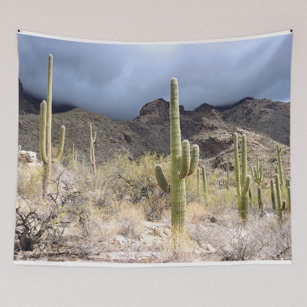 Item preview, Saguaro Cactus Cloudy Catalina Mountain View designed and sold by simonjayphotos.
