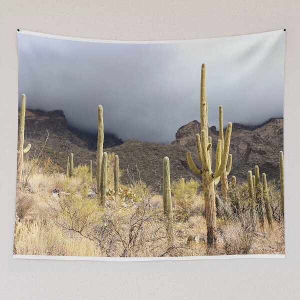 Item preview, Cloudy Catalina Mountains Stunning Saguaro Cacti designed and sold by simonjayphotos.