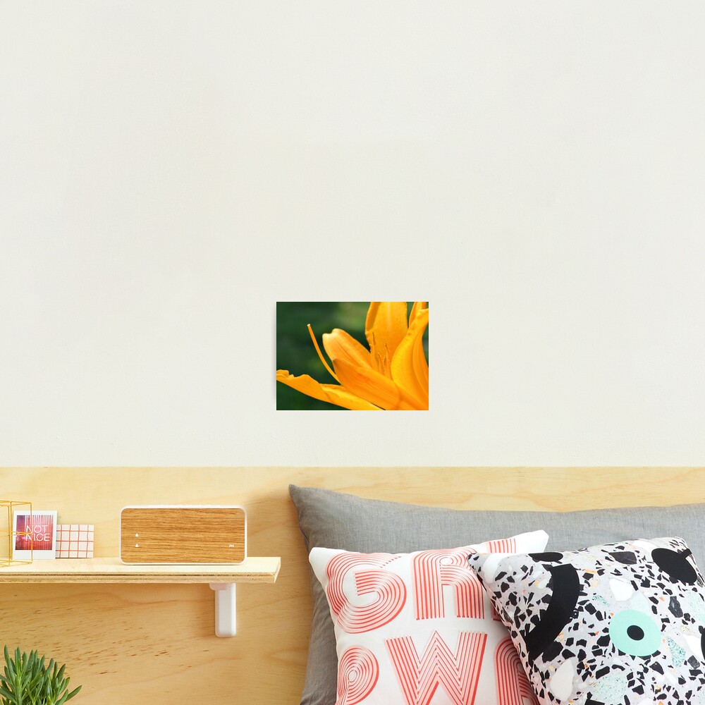 Item preview, Photographic Print designed and sold by DAWNESROMEO.