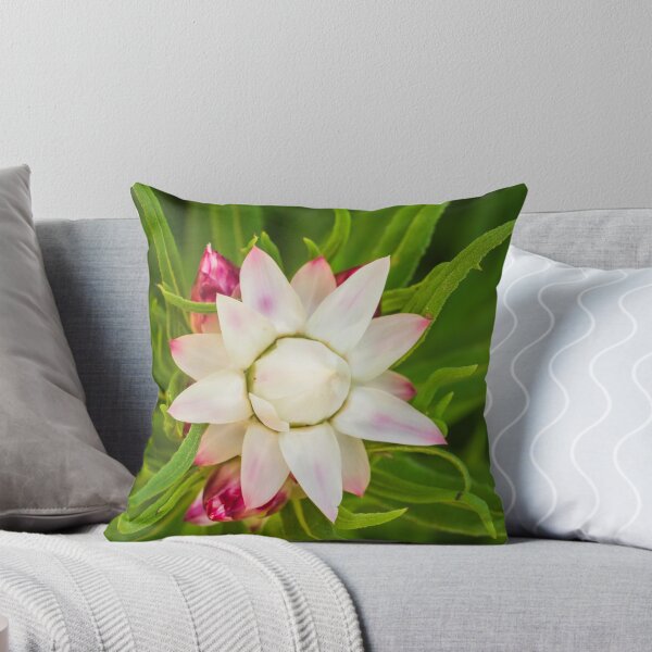 Item preview, everlasting daisy rays designed and sold by Esther Frieda.