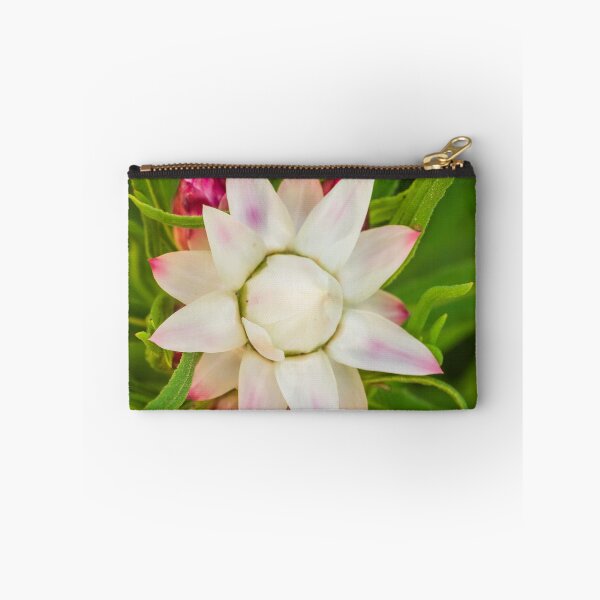 Item preview, everlasting daisy rays designed and sold by Esther Frieda.
