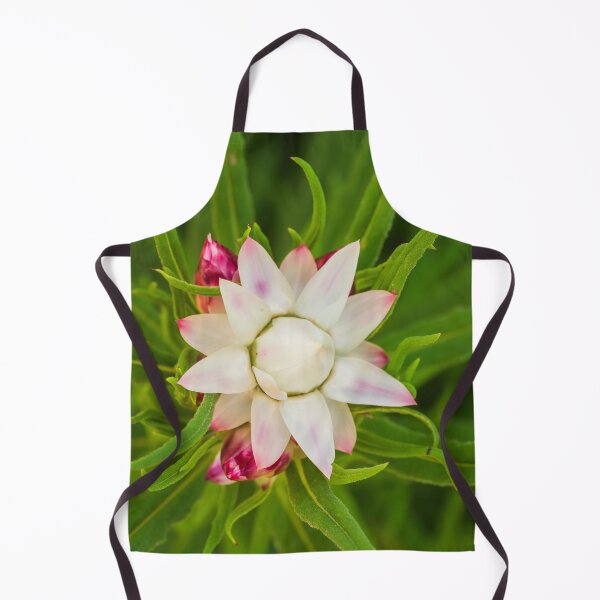 Item preview, everlasting daisy rays designed and sold by Esther Frieda.