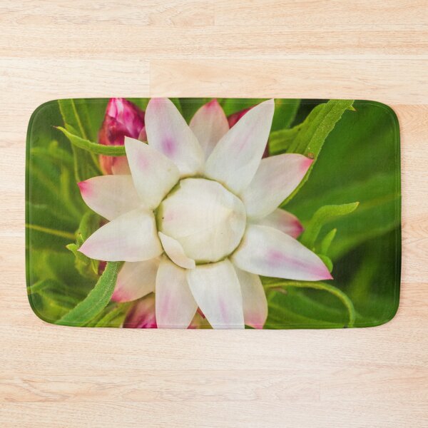 Item preview, everlasting daisy rays designed and sold by Esther Frieda.