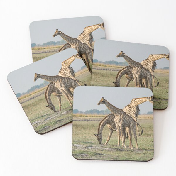Item preview, Tall Quiet : Giraffes at Ease on the Plains designed and sold by DavideAntoniani.